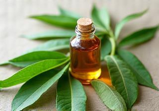 Neem leaves clustered around a small bottle of potent Neem oil